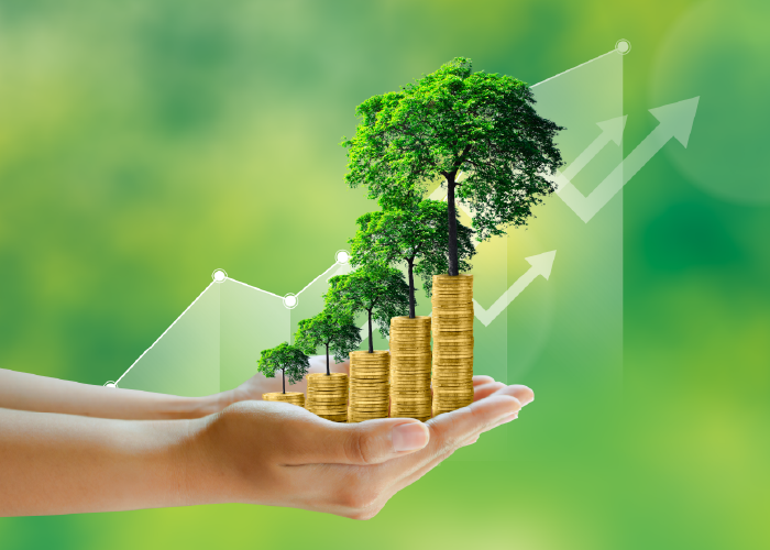 Dịch vụ môi trường cho doanh nghiệp và nhà máy